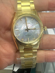 Citizen watch ECO drive Spirt 1