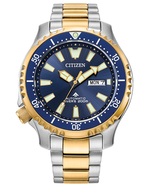Citizen Promaster Dive Auto