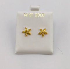 Baby earing yellow starfish