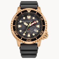 Citizen eco drive dive