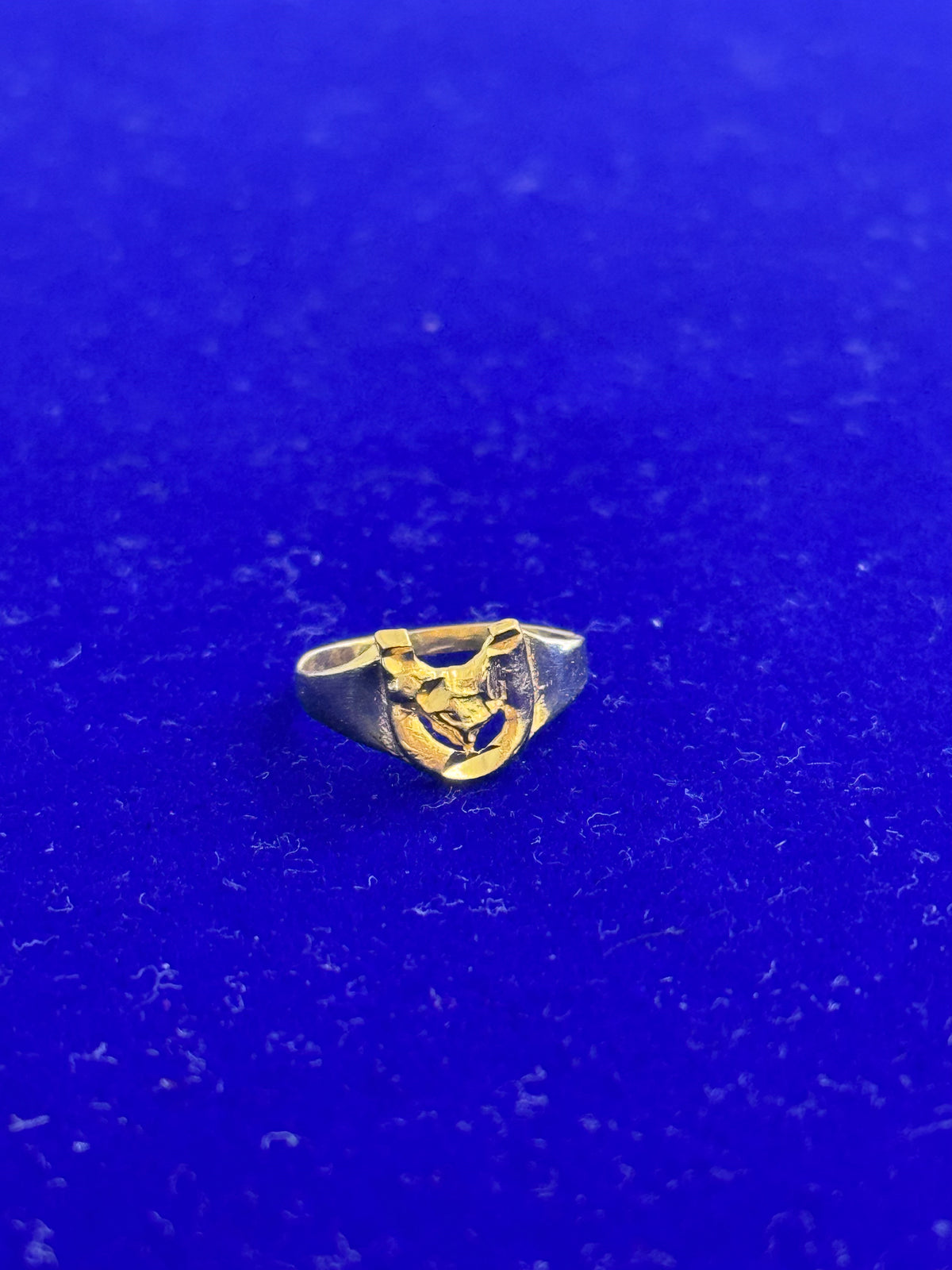 14k Horseshoe ring